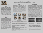 Solar Poster 2005 - University of Central Oklahoma