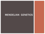 Mendelian genetics