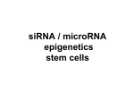 RNA interference - Creighton University