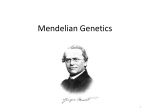 Mendelian Genetics - Edmonds School District