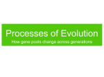 Processes of Evolution