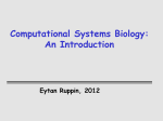 Gene Expression Analysis, DNA Chips and Genetic Networks