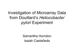 H_Pylori_MicroArray_Data_Analysis