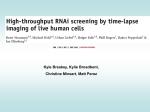 rnai_presentation