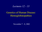 Lectures 12 - 13 Genetics of Human Disease: Hemoglobinopathies