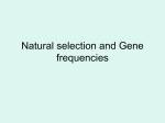 Sources of heritable variation