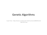 Genetic Algorithms