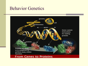 Behavior Genetics