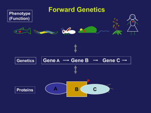 Forward Genetics