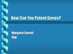 How Can You Patent Genes?