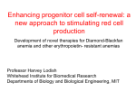 Lodish – Enhancing progenitor cell self-renewal