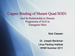 The Effect of ACN on Metal Binding in One