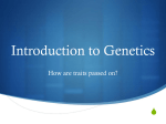 Introduction to Genetics