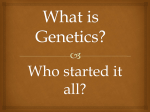 The Father of Genetics