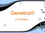 Genetics - MWMS HW Wiki