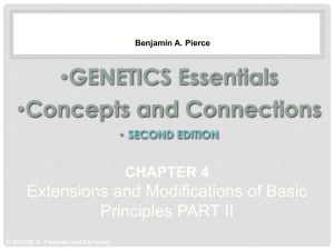 Gene Interaction that produces novel Phenotype