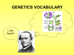 Genetics Clicker - Solon City Schools