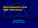 Neurogenetics