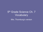 5th Grade Science Ch. 7 Vocabulary