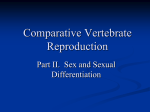 Part II. Sex and Sexual Differentiation