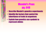 Mendel`s Peas