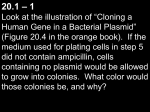 Concept Check Questions with answers