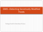 GMO—Detecting Genetically Modified Foods