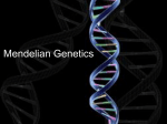 Mendelian Genetics