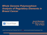 Whole Genome Polymorphism Analysis of Regulatory Elements in