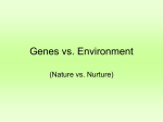 A26-Genes VS Environment