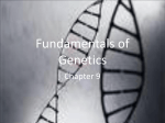 Fundamentals of Genetics