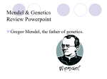 Mendel Review ppt