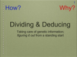 Dividing & Deducing