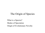 Chapter 24: The Origin of Species