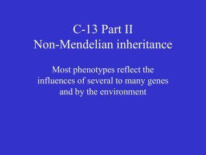 C-13 Part II Non-Mendelian inheritance