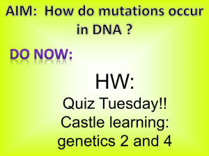 Mutation