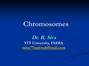 Chromosome - World of Teaching