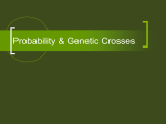 Probability & Genetic Crosses - My Science Party