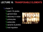 GENETICS – BIO 300