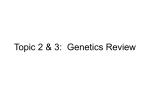 Topic 2 & 3: Genetics Review