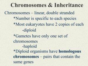 3-A Notes