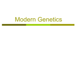 Modern Genetics PPT