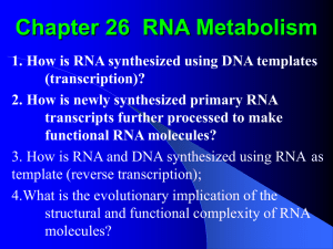 Chapter 25 RNA Metabolism