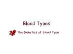 Allele Red Blood Cell A codominant A