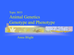 Animal Genetics Topic 3033 Genotype and Phenotype