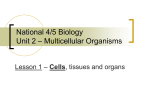 National 5 Biology Unit 2 – Multicellular Organisms