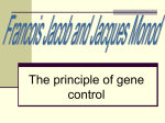 principles of gene control