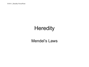 Mendel and Inheritance
