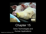 Chapter 15 Section 2: Gene Technologies in Our Lives