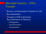 Microbial Genetics - Gene Transfer